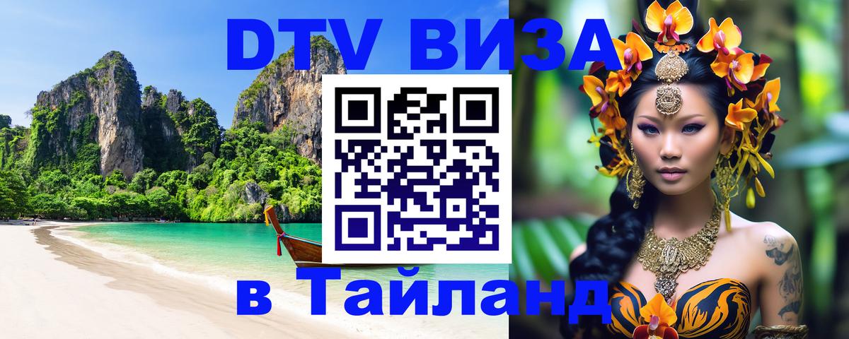 Оформление DTV визы под ключ: стоимость и тарифы, только загранпаспорт - Великий Новгород 